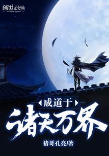 红袖飞仙