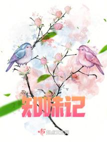 暗香盈袖之我与卫芹之爱