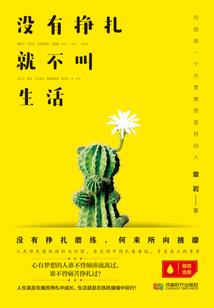 世界战绩录