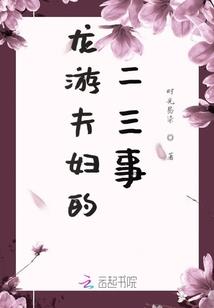 揽月流光
