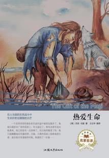 贫民窟女孩的塑料青春