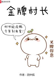神级山寨系统