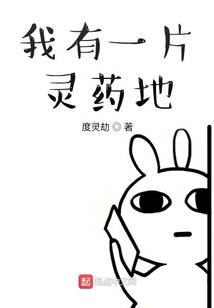 大概是
