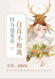 穿越火影之泷隐枫
