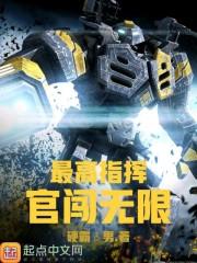 一见倾心之爱上两个你