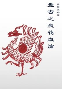 深圳女子图鉴：逐梦之旅